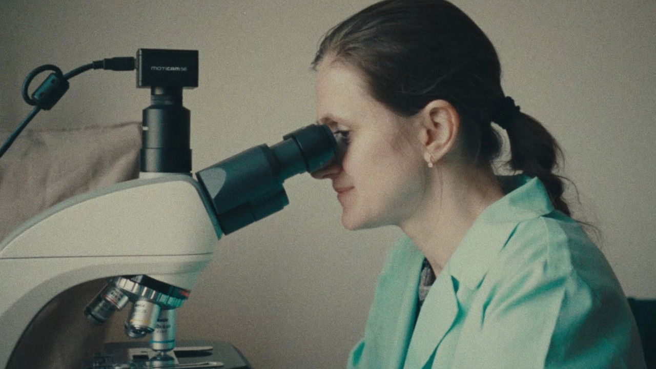 Holy Destructors backdrop