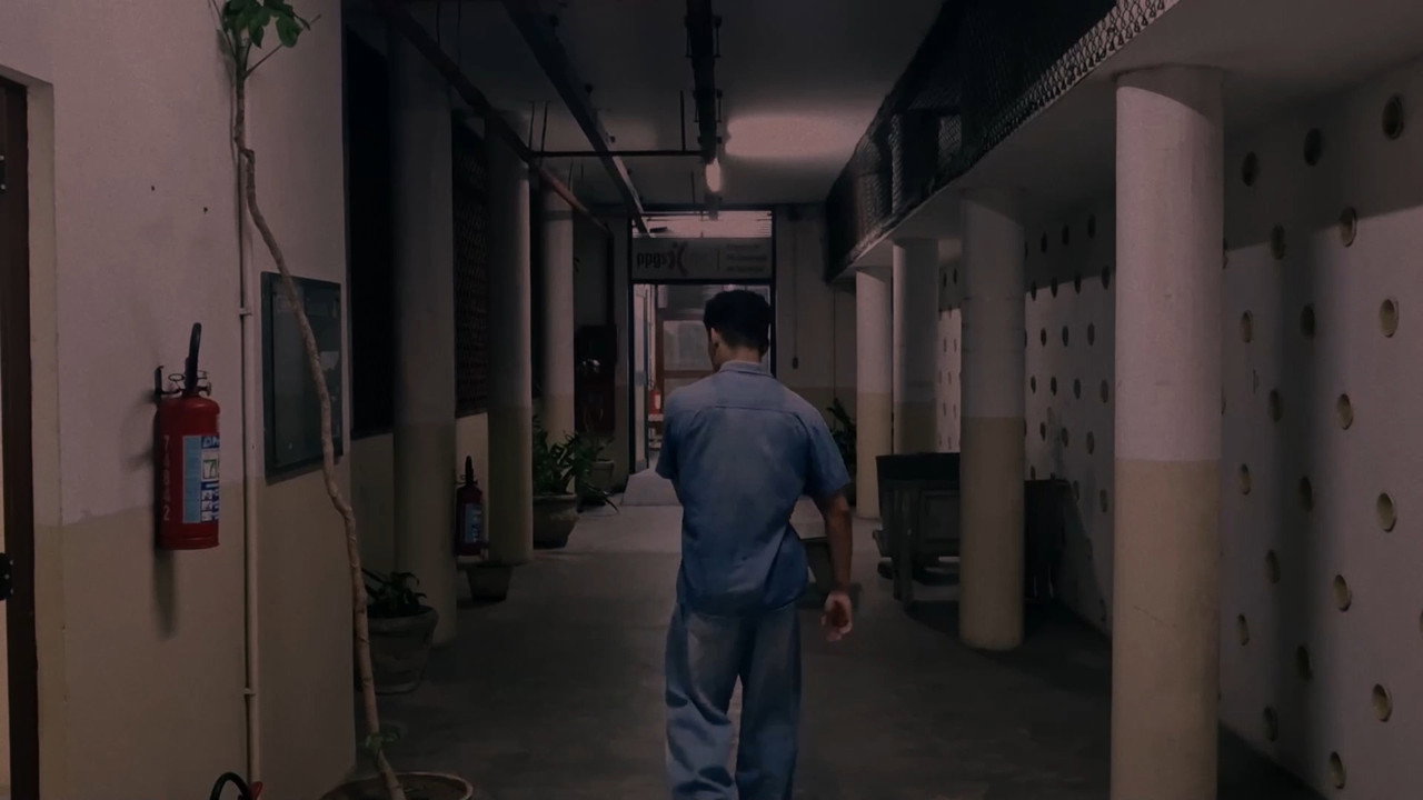 Transgressão backdrop