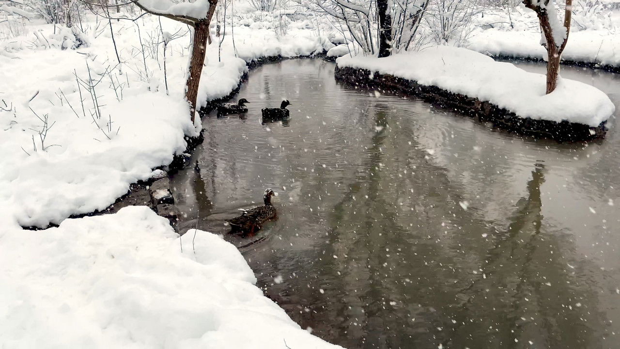reBUILDING PALANGA backdrop