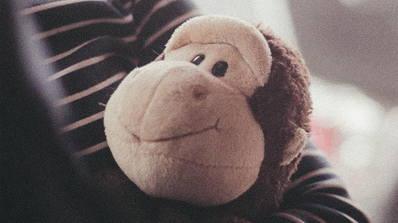 They are Called Junkmobile backdrop