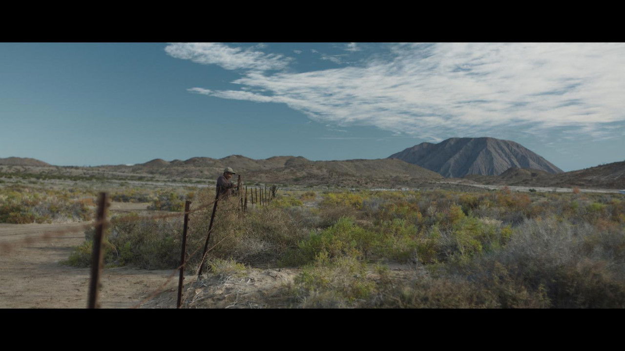 El Guardián backdrop