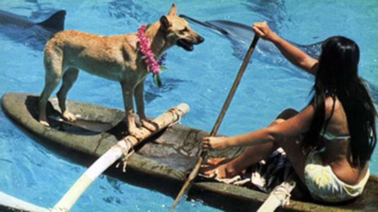 Fratello mare backdrop