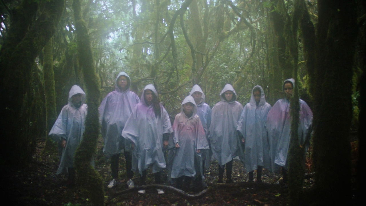 Common Birds backdrop