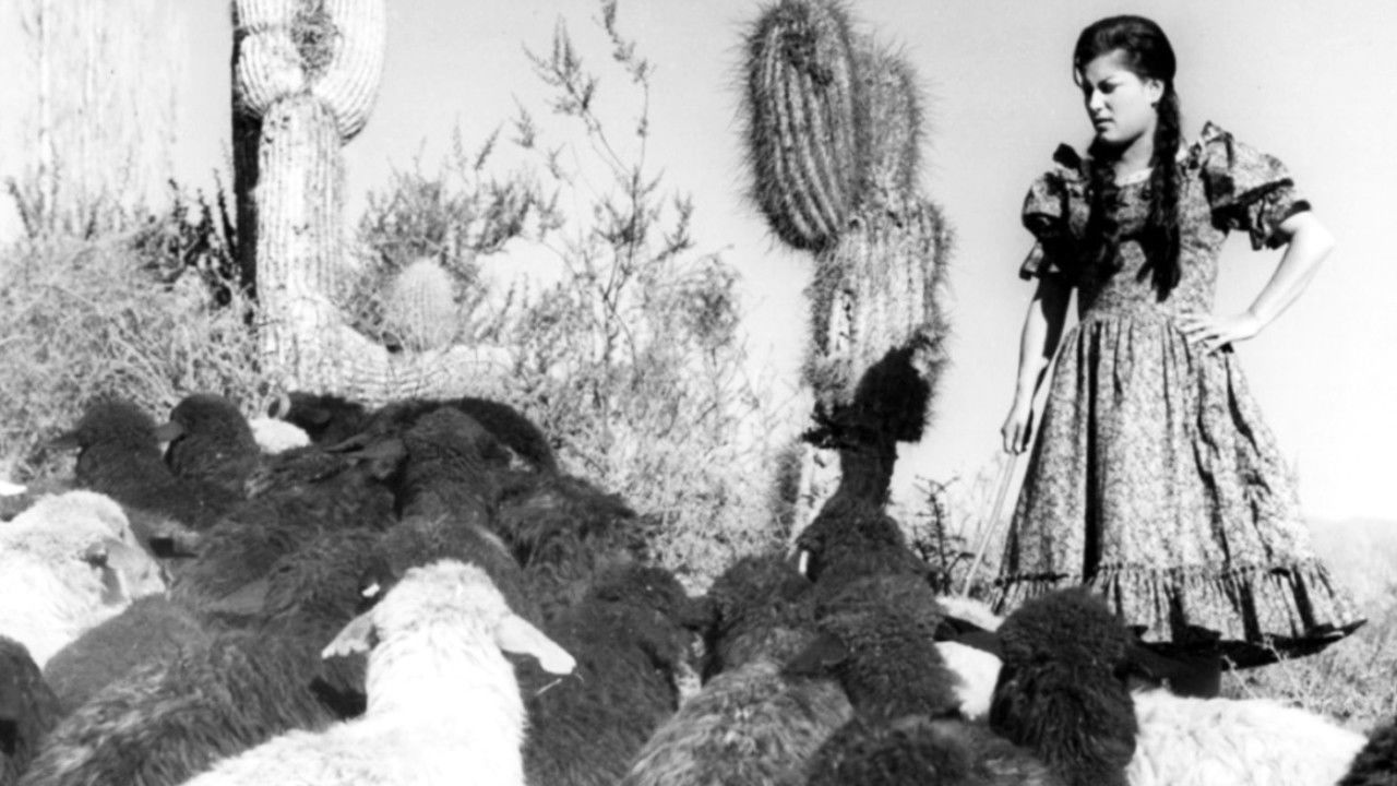 Mire que es lindo mi país backdrop