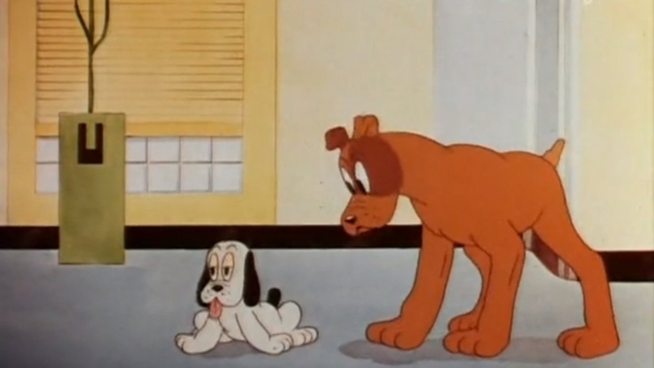 Dog Gone Modern backdrop