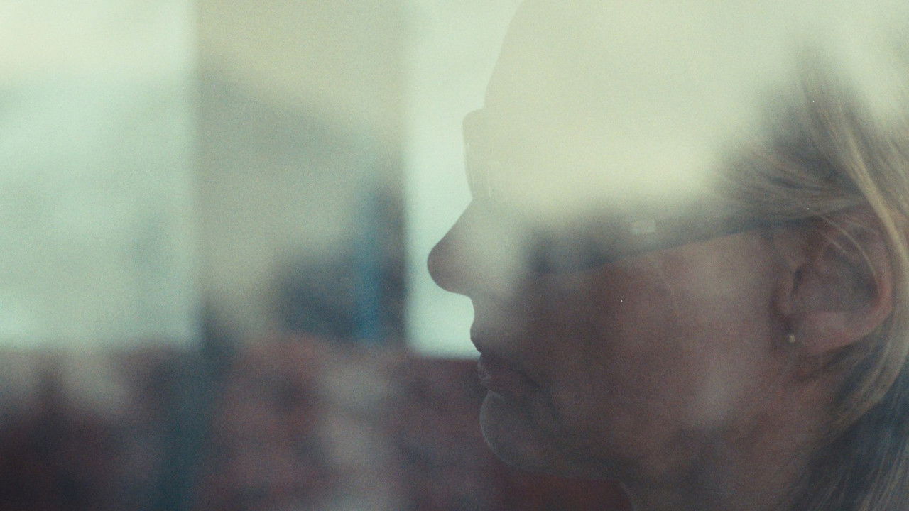 Murmuration backdrop