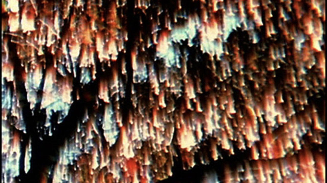 The Secret Garden backdrop