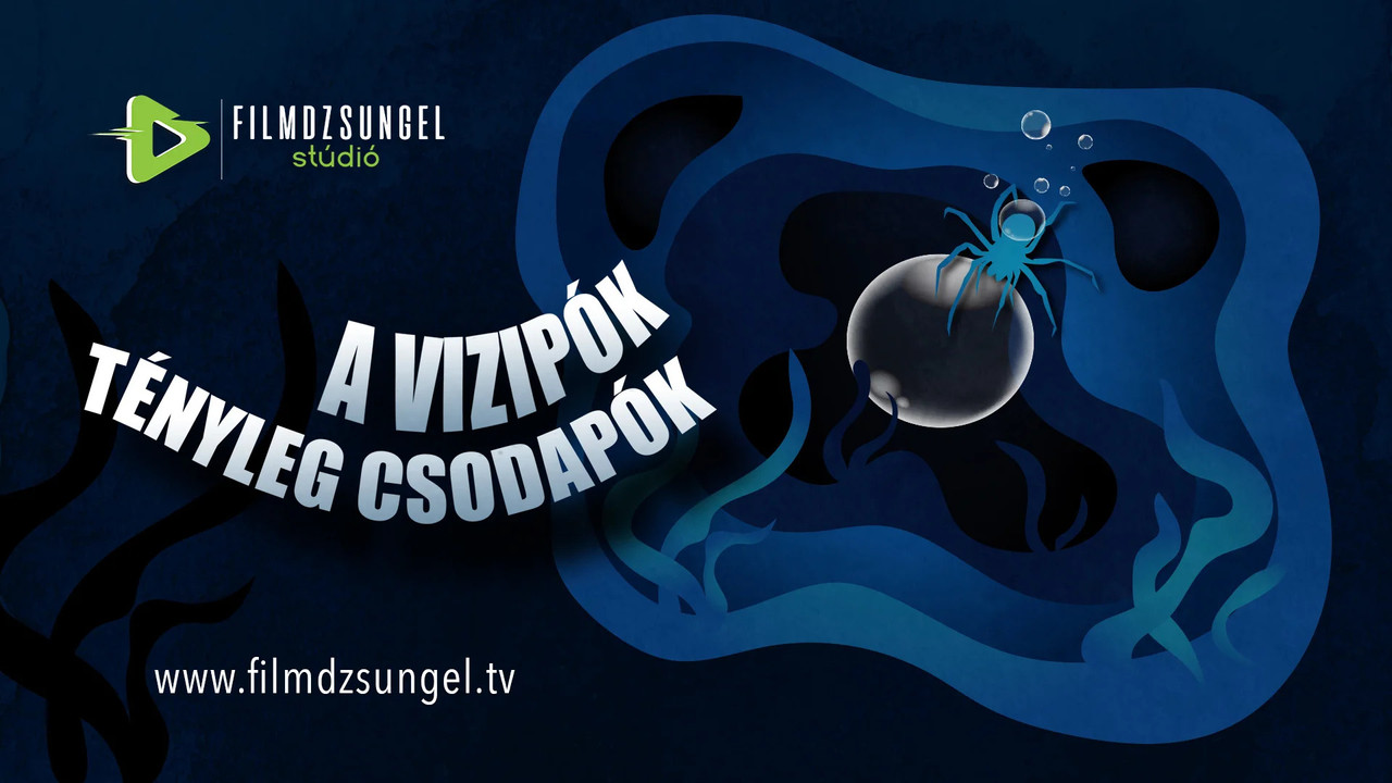 A vízipók tényleg csodapók backdrop