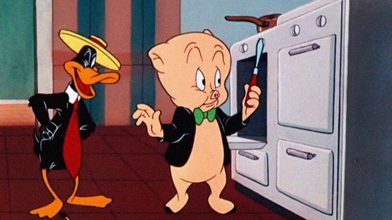 Fool Coverage backdrop