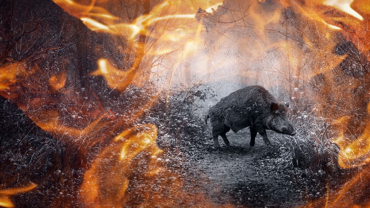 Вепрь backdrop