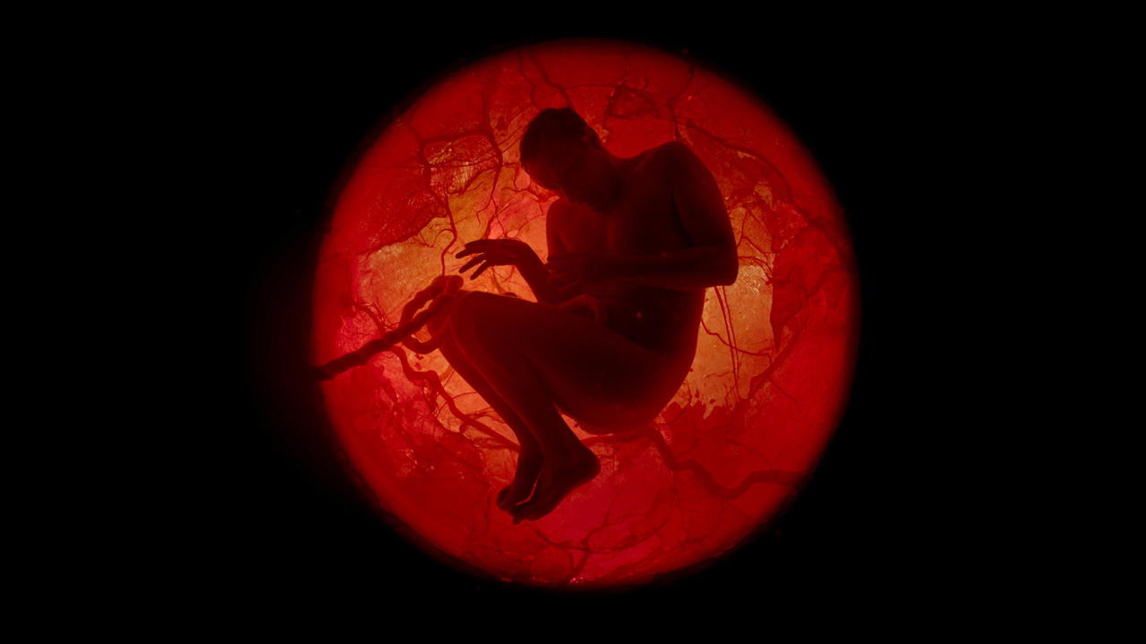 A Whole Lifetime with Jamie Demetriou backdrop