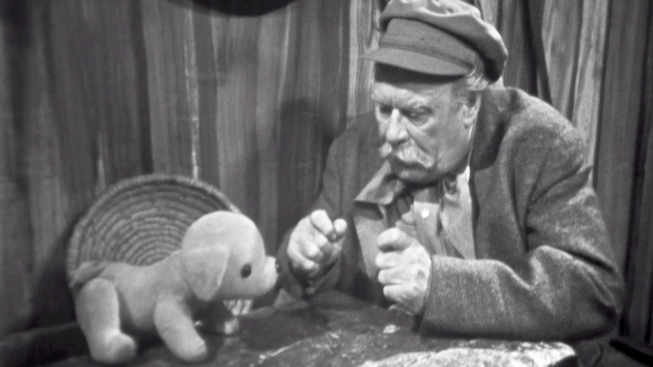 Psí pohádka backdrop