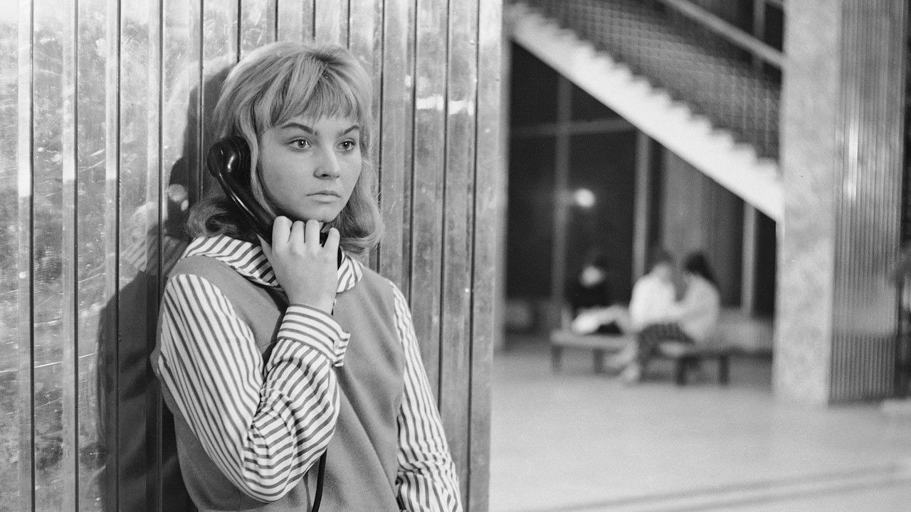 Every Week Seven Days backdrop