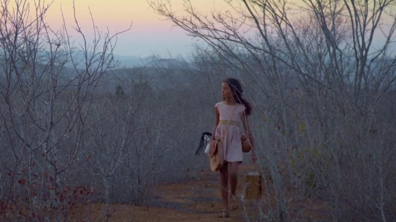 Rosa Tirana backdrop