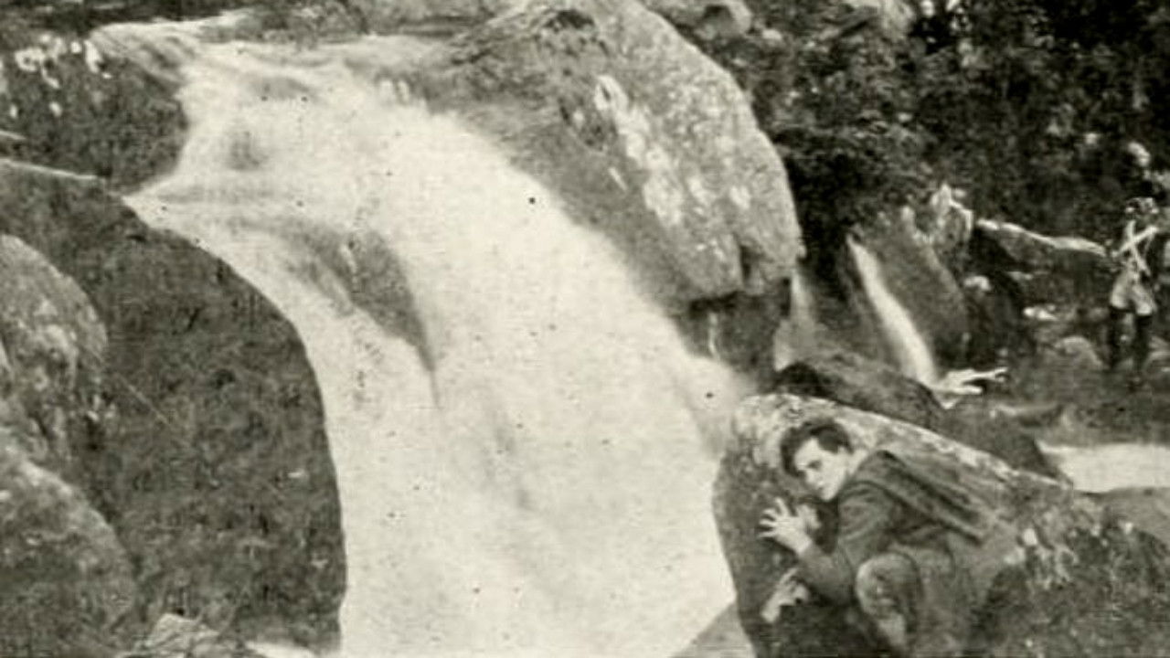 All for Old Ireland backdrop