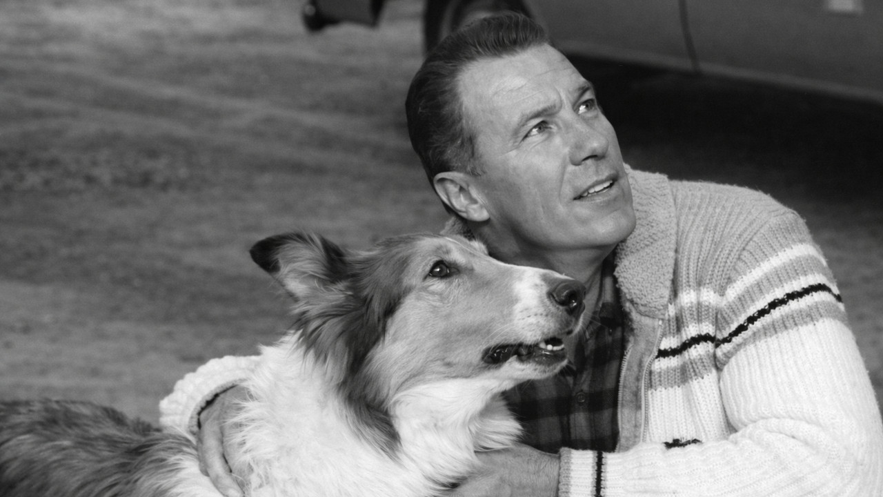 Look Homeward backdrop