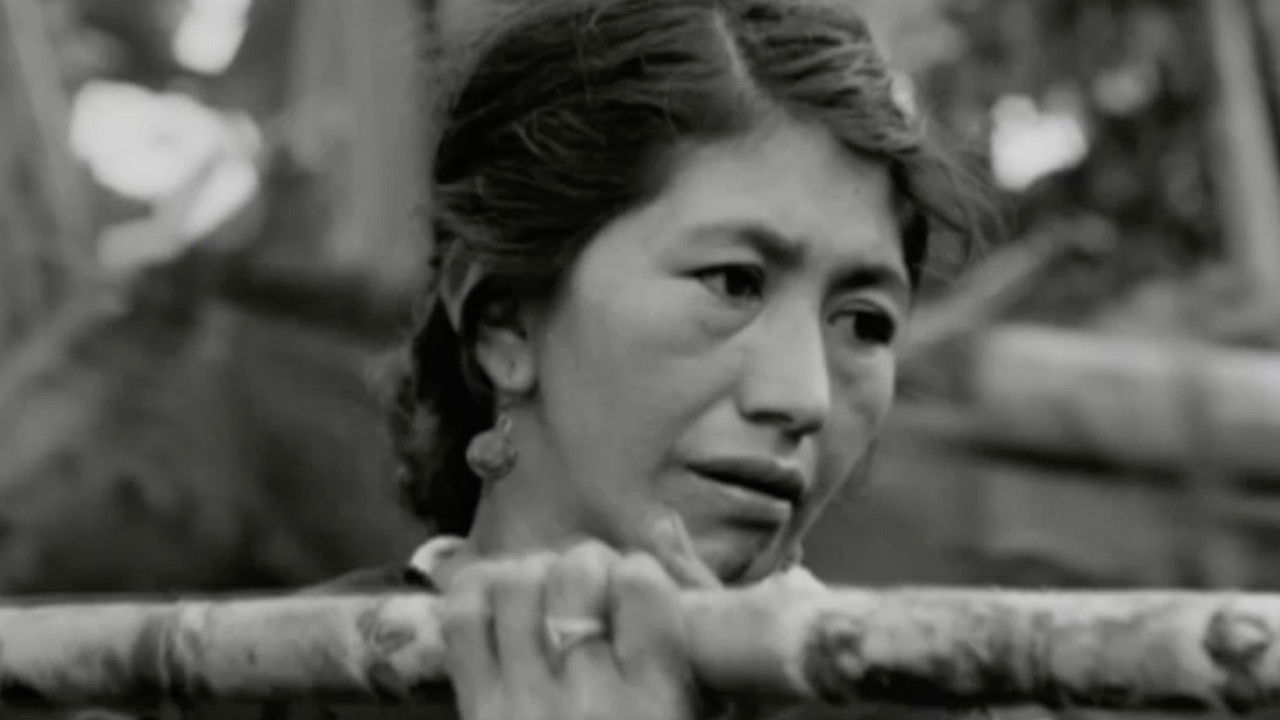 Evil Wind Out backdrop