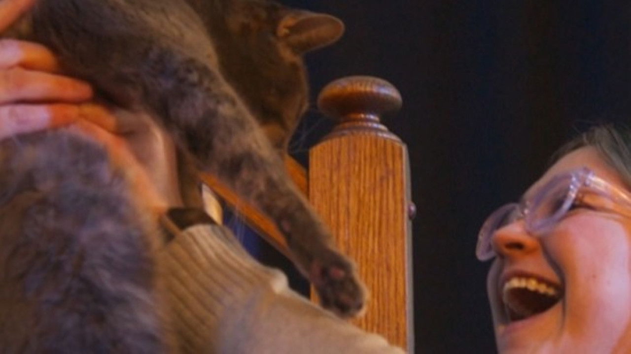 Kill For a Kiss backdrop