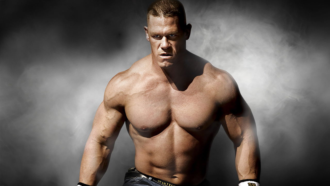 WWE Survivor Series 2008 backdrop