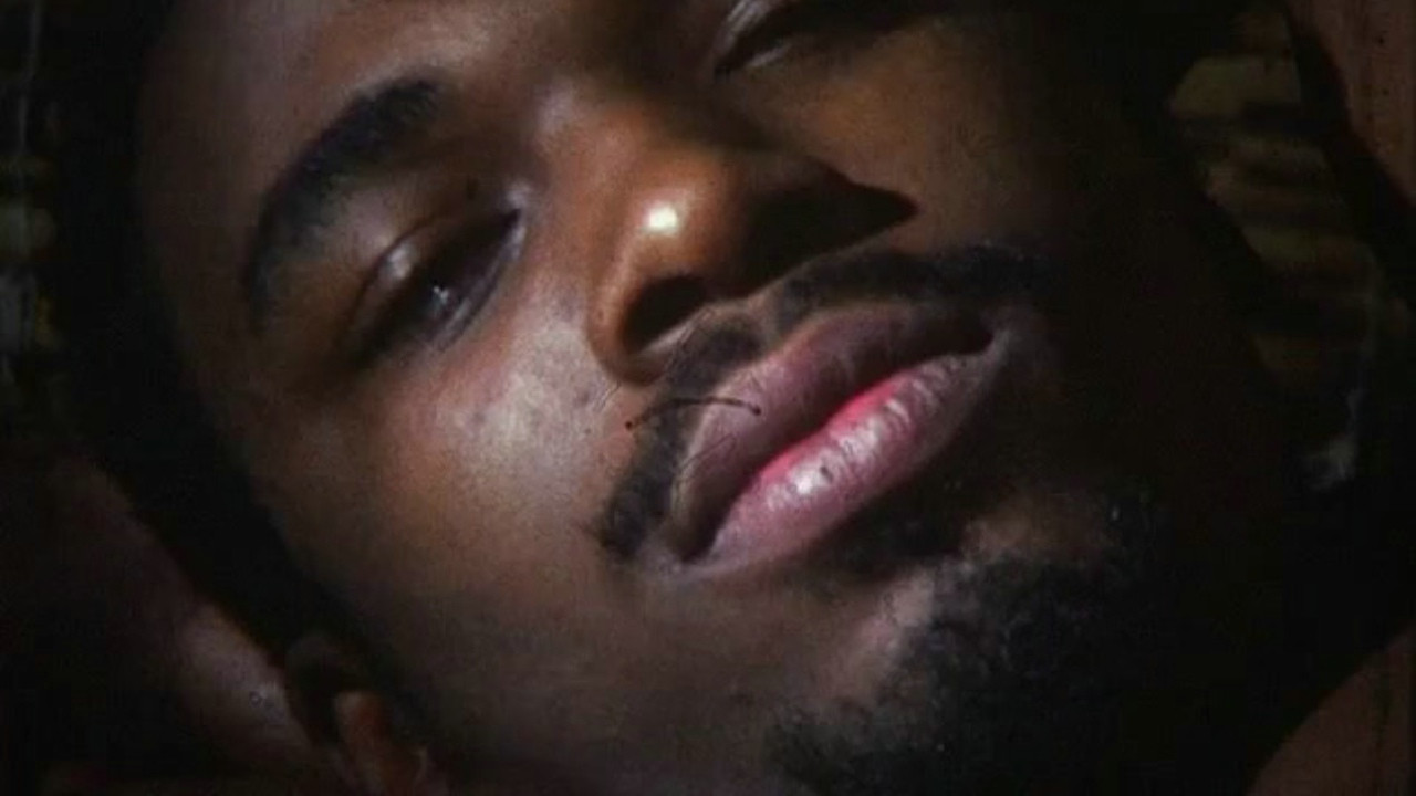 Brown Study backdrop