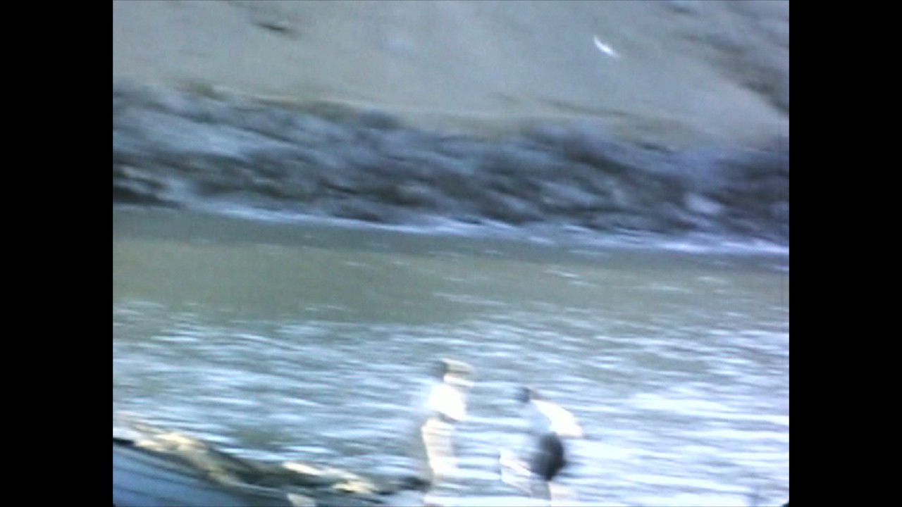 El Perú es un lugar para morir backdrop