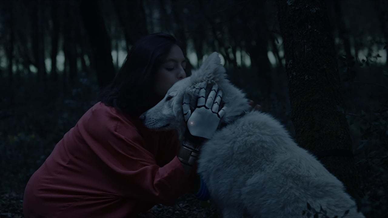 Black Hollow Cage backdrop