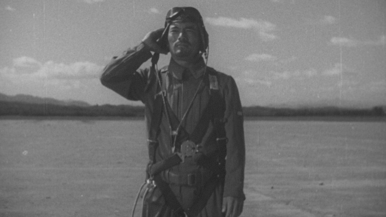 Colonel Kato's Falcon Squadron backdrop