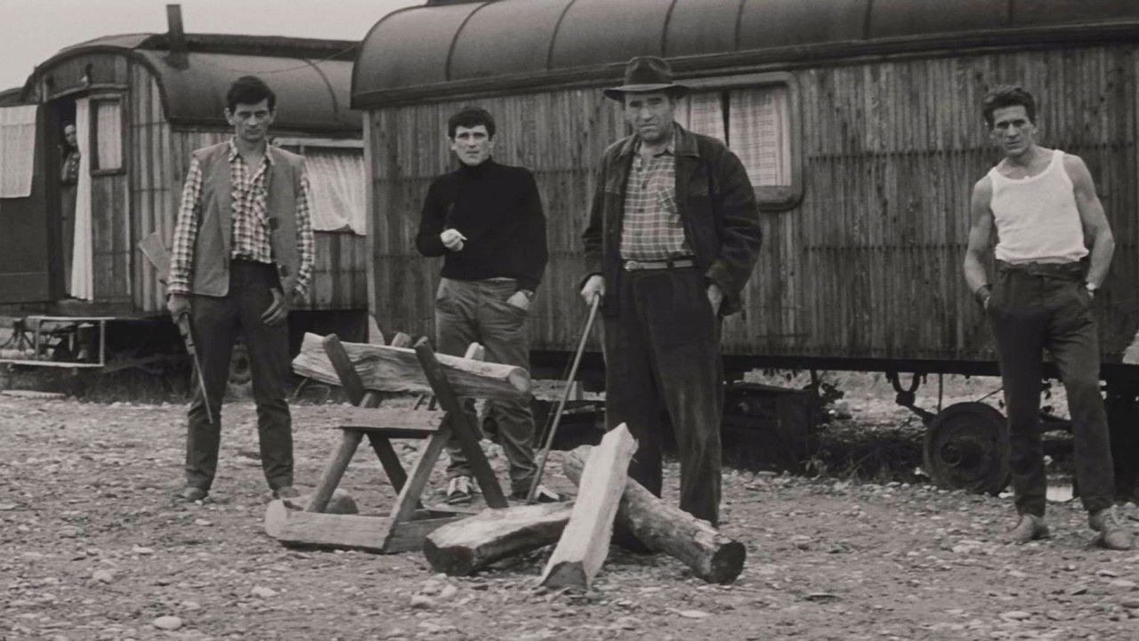 Prípad pre obhajcu backdrop