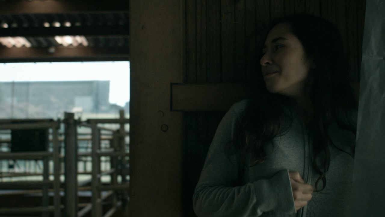 Anonymous Animals backdrop