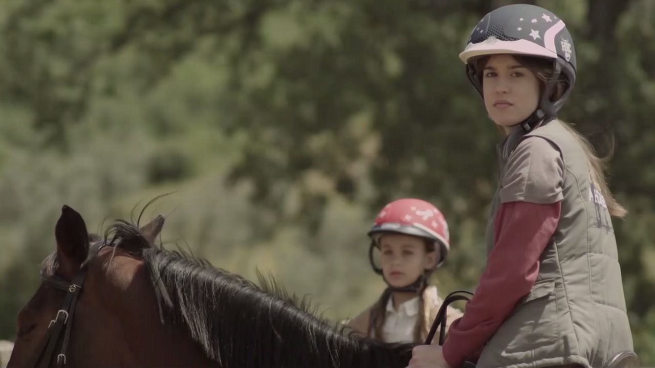 My Name Is Maya backdrop