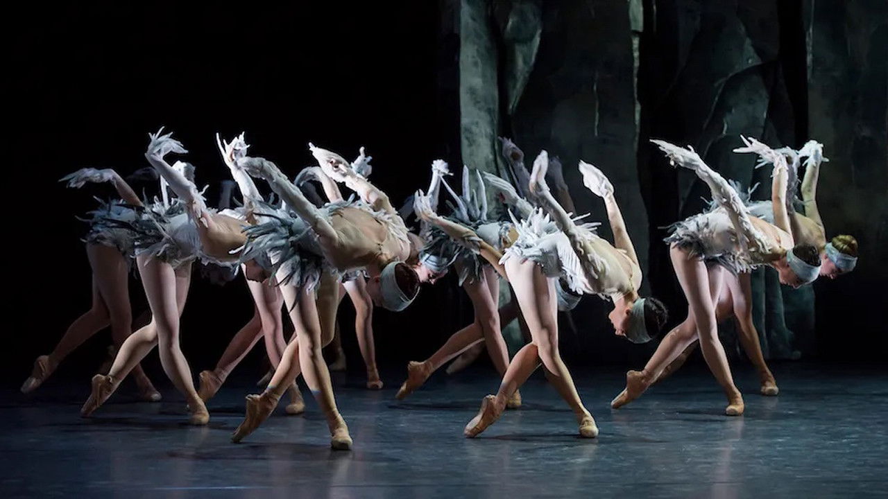 Lac (After Swan Lake) backdrop