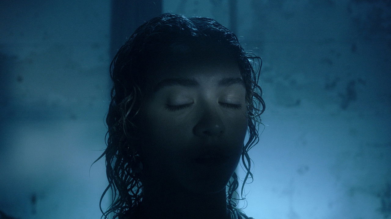 SHIFTING VISIONS backdrop