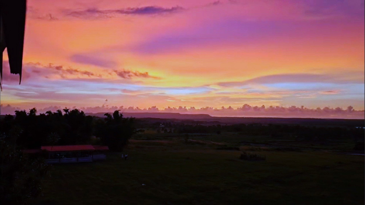 Para não ser levada por qualquer ventania backdrop