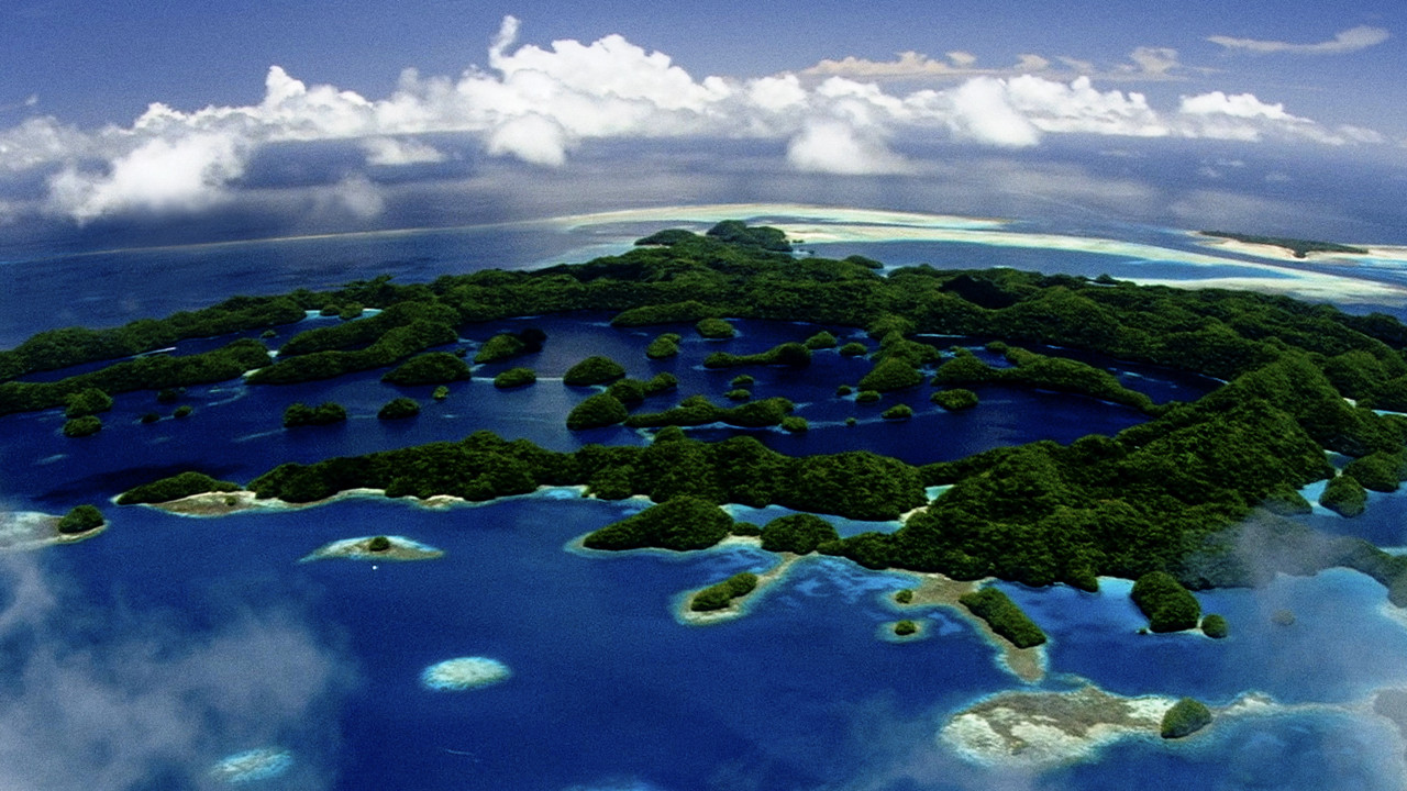 Pristine Seas: The Power of Protection backdrop