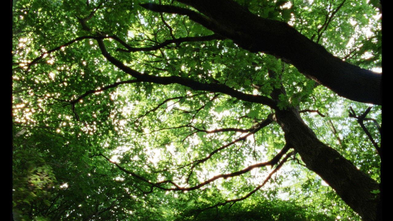 From This Day Forth backdrop