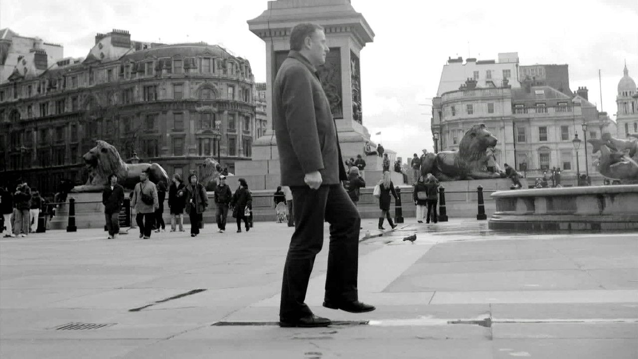 Stochastics backdrop