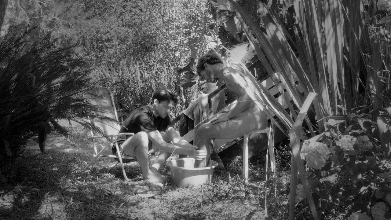 Perro perro backdrop