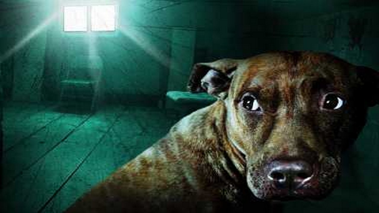 The Haunted backdrop