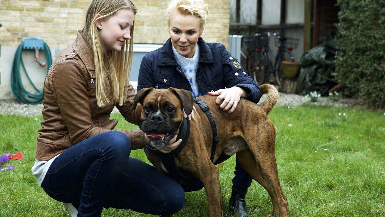 Hund søger hjem backdrop