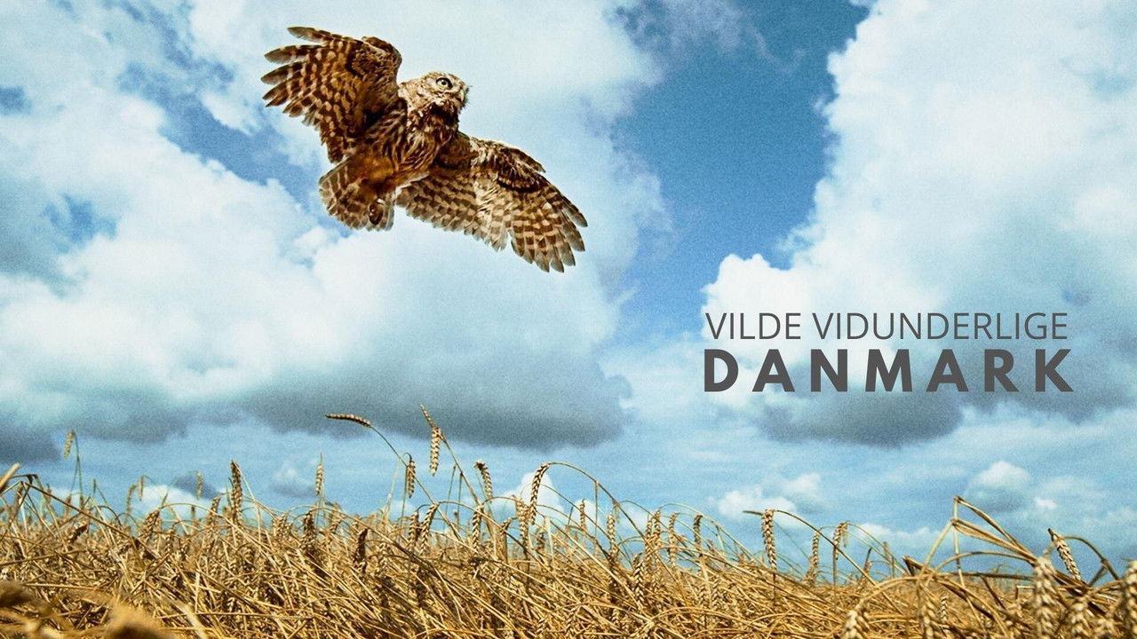 Wild and Wonderful Denmark backdrop