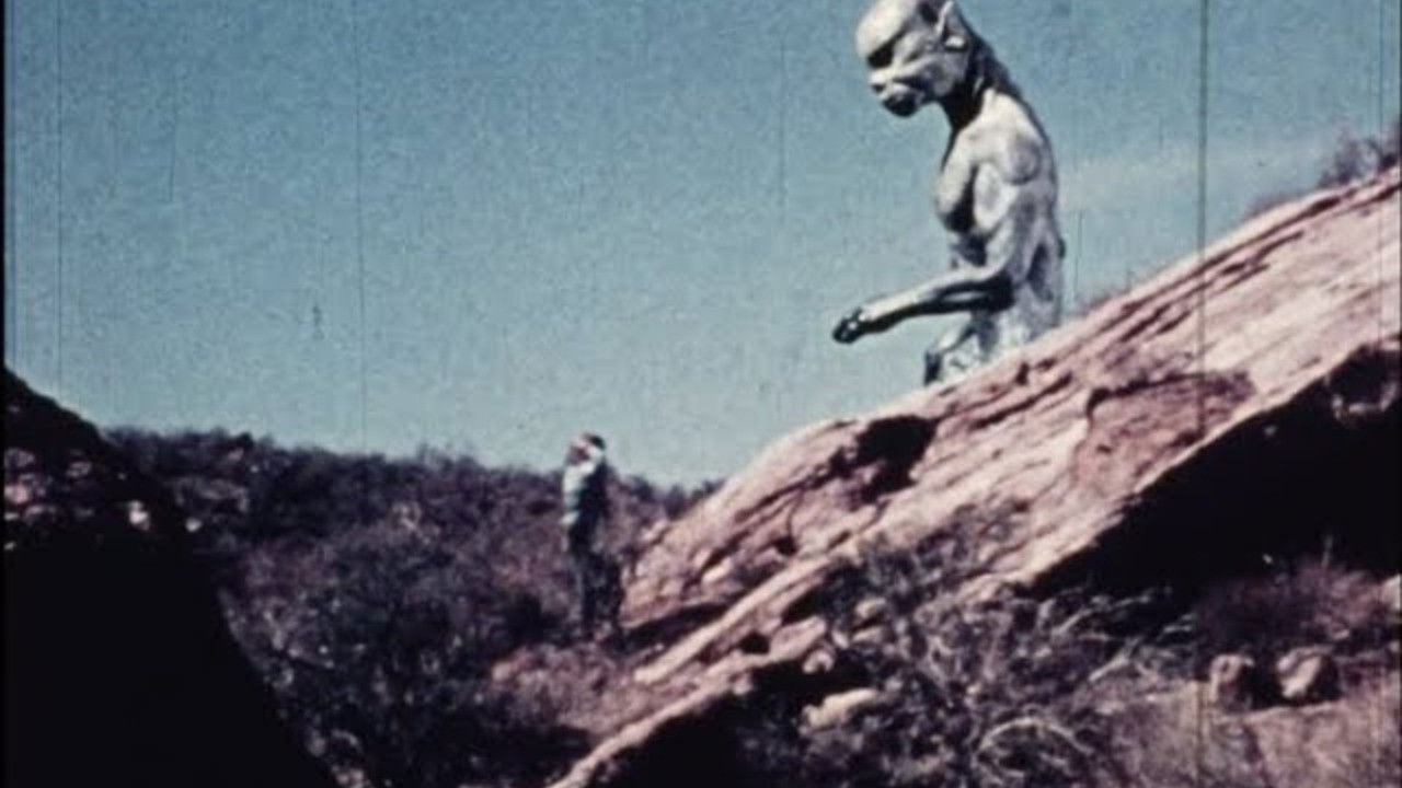 Canned Performance backdrop