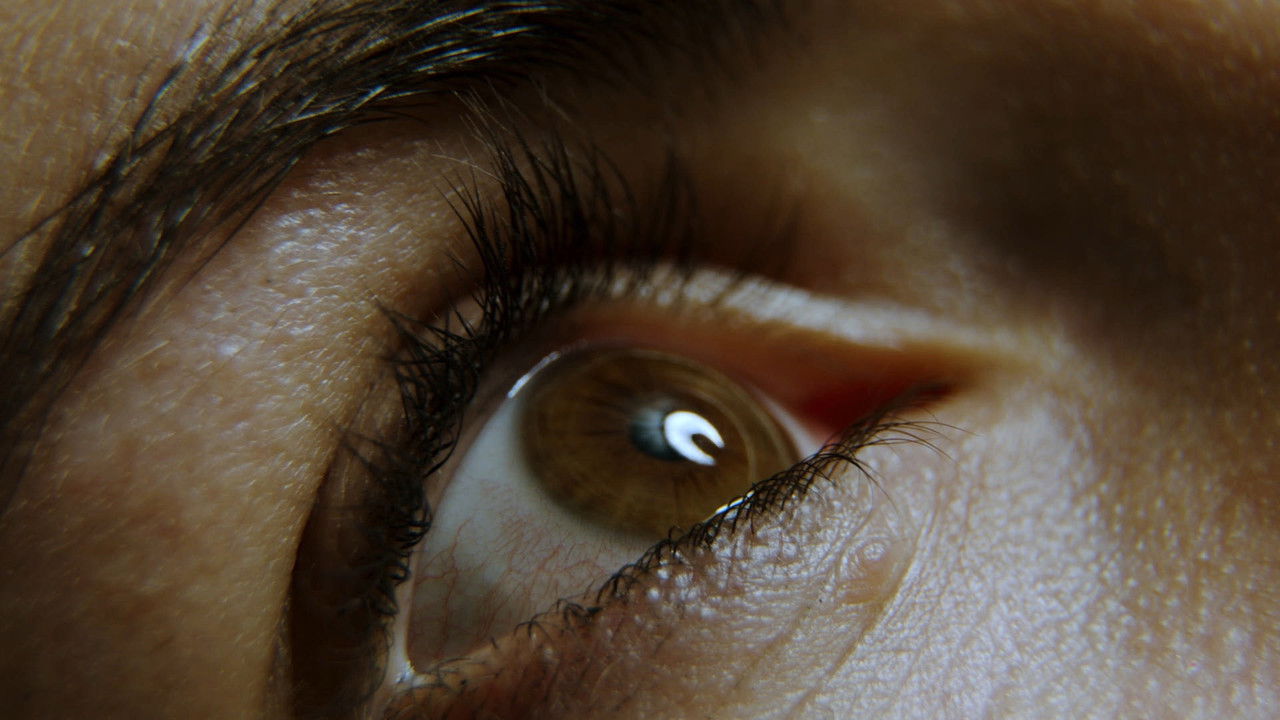 Beyond Zero backdrop