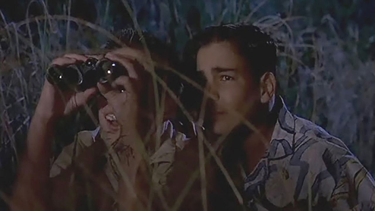 Just Looking backdrop