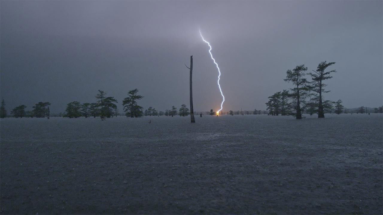 2017,  The Disaster Diaries backdrop