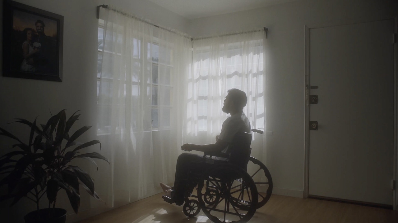 The Absences backdrop