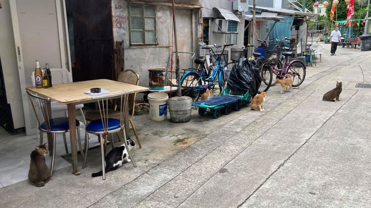 Loves, with love backdrop