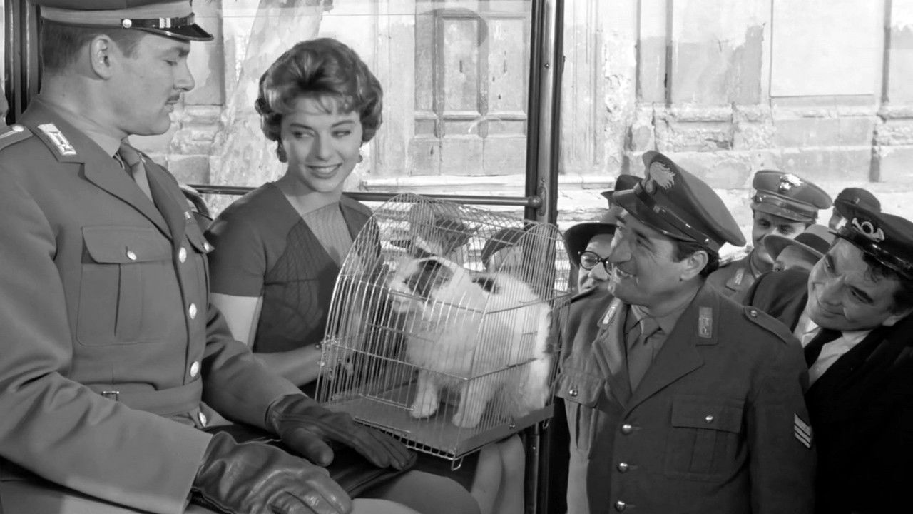 Tuppe tuppe, Marescià! backdrop