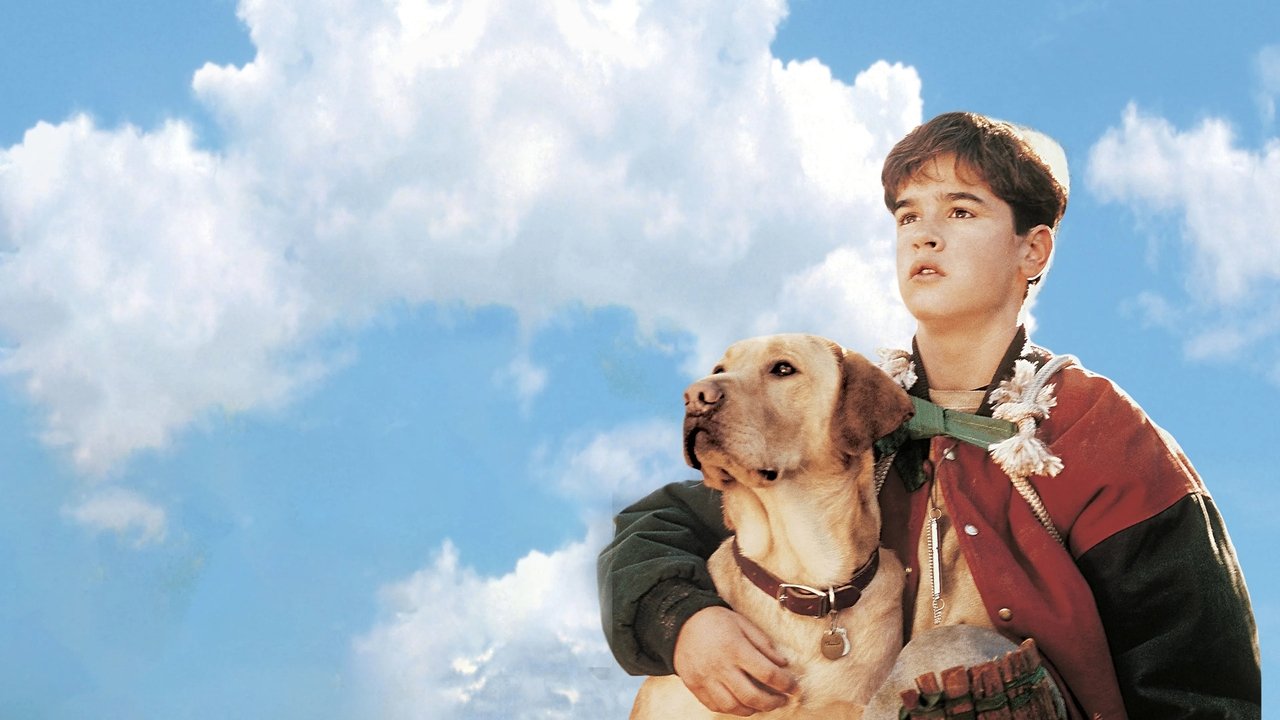 Far from Home: The Adventures of Yellow Dog backdrop