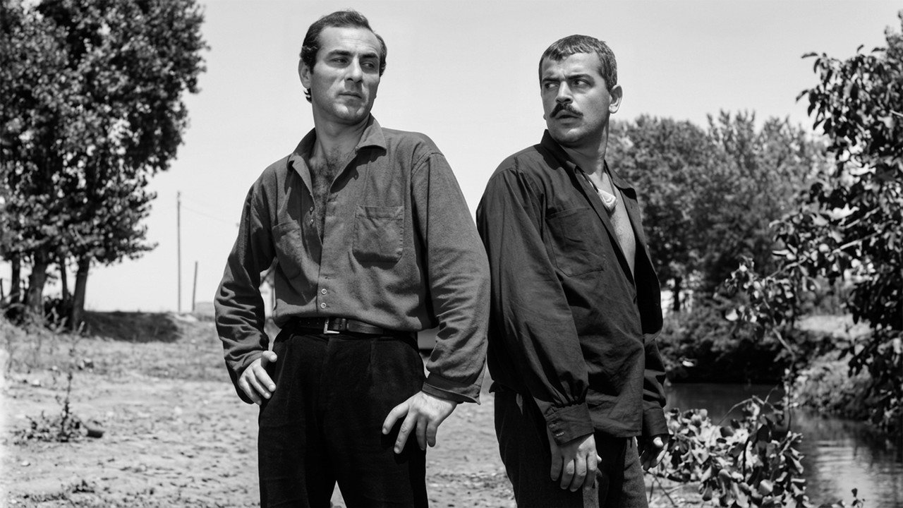 Çelik Bilek backdrop