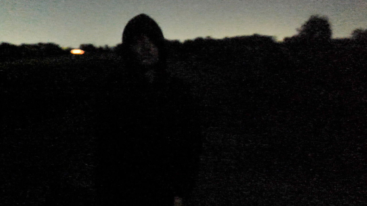 Phobophobia backdrop